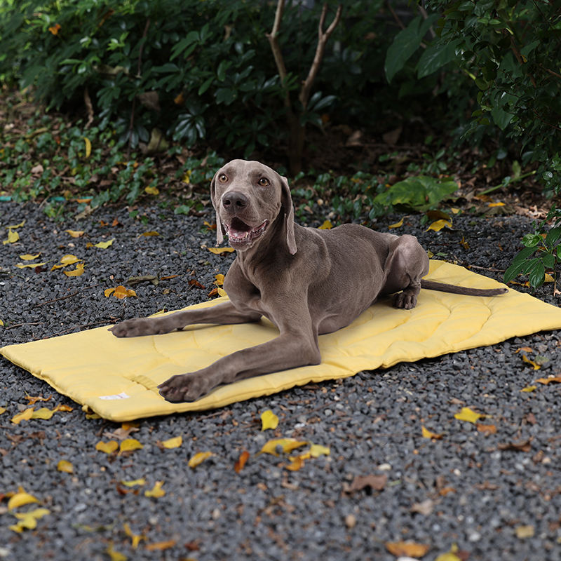 حصيرة الحيوانات الأليفة المحمو - مراجعة Outdoor Camping Dog Kennel وسعره